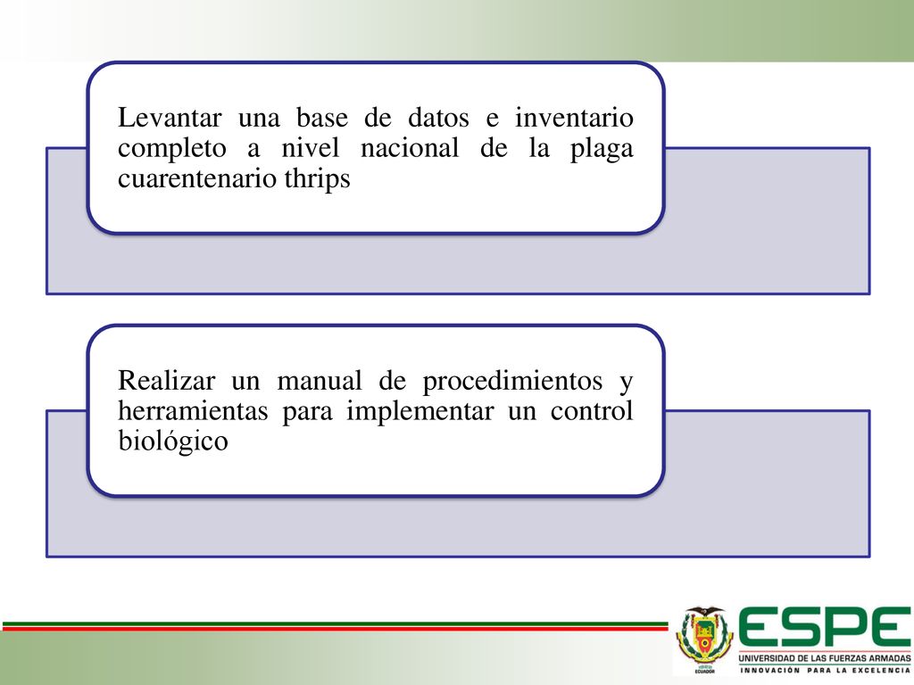Levantar una base de datos e inventario completo a nivel nacional de la plaga cuarentenario thrips