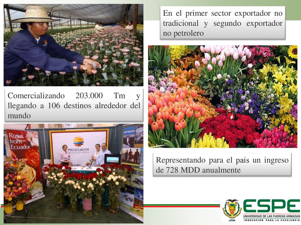 En el primer sector exportador no tradicional y segundo exportador no petrolero