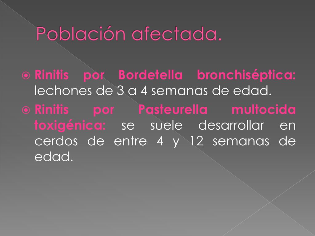 Población afectada. Rinitis por Bordetella bronchiséptica: lechones de 3 a 4 semanas de edad.