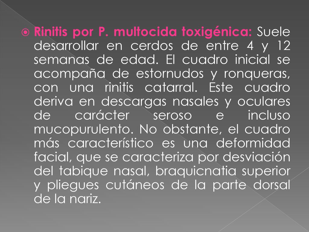 Rinitis por P. multocida toxigénica: Suele desarrollar en cerdos de entre 4 y 12 semanas de edad.
