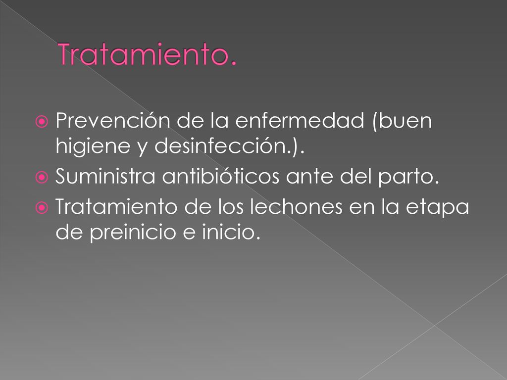Tratamiento. Prevención de la enfermedad (buen higiene y desinfección.). Suministra antibióticos ante del parto.