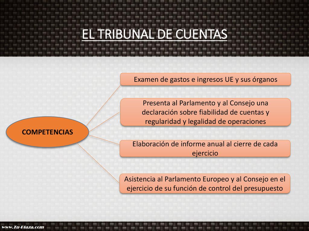 EL TRIBUNAL DE CUENTAS Examen de gastos e ingresos UE y sus órganos