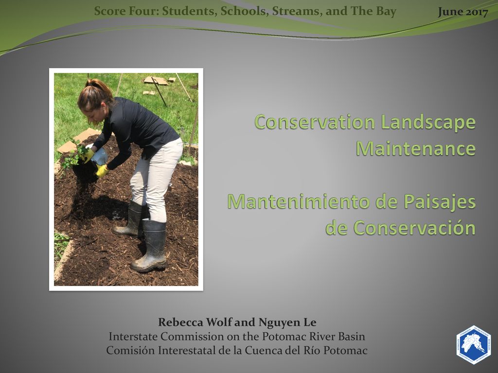 Score Four: Students, Schools, Streams, and The Bay