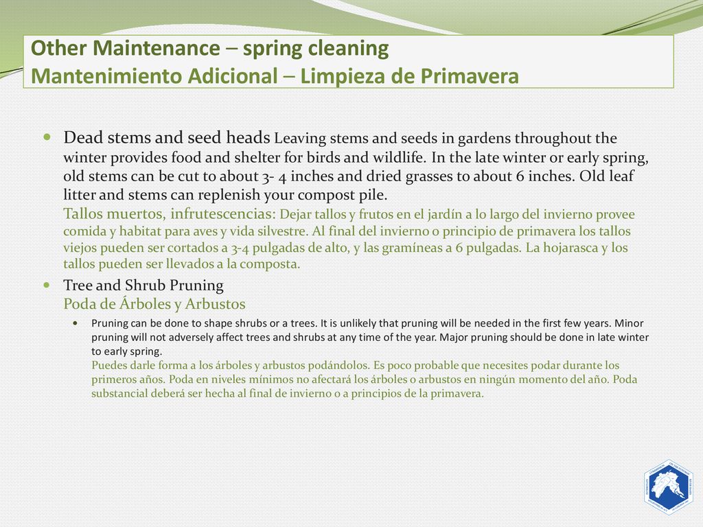 Other Maintenance – spring cleaning Mantenimiento Adicional – Limpieza de Primavera