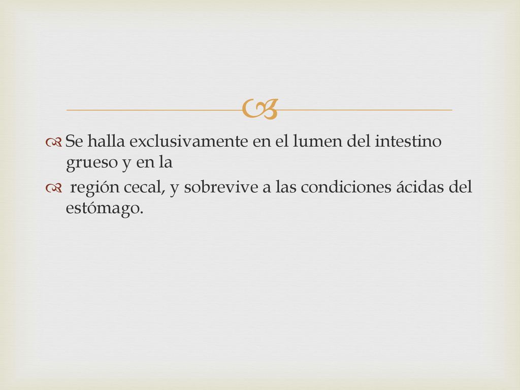 Se halla exclusivamente en el lumen del intestino grueso y en la