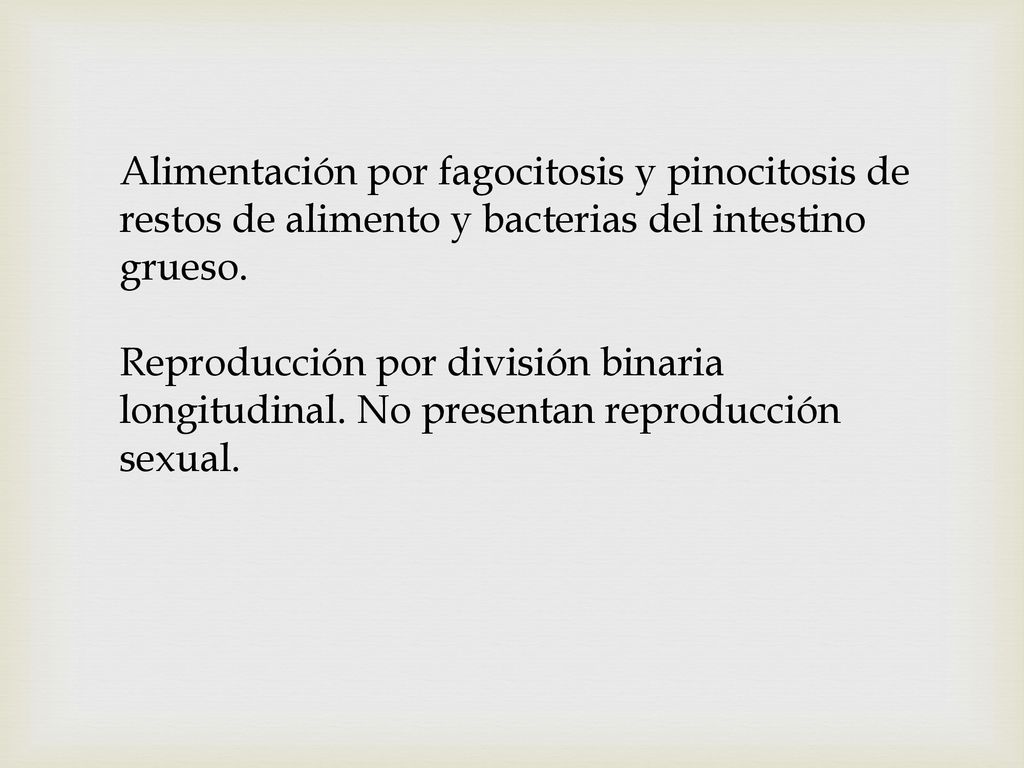 Alimentación por fagocitosis y pinocitosis de restos de alimento y bacterias del intestino grueso.