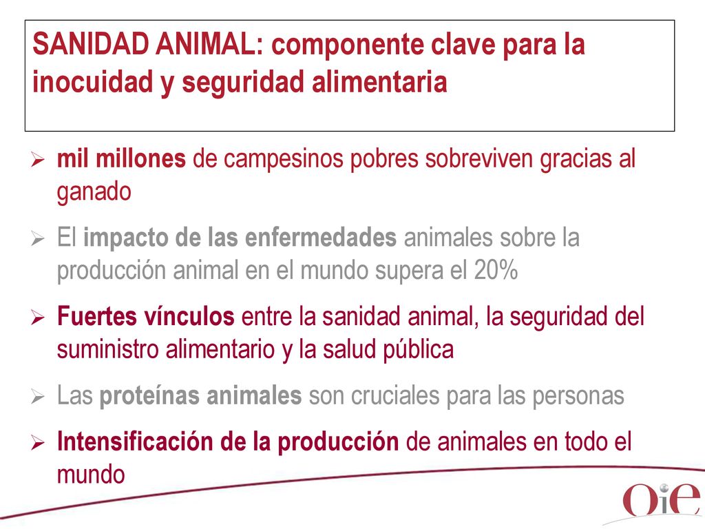 SANIDAD ANIMAL: componente clave para la inocuidad y seguridad alimentaria