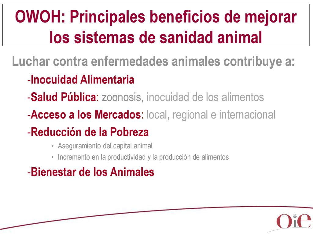 OWOH: Principales beneficios de mejorar los sistemas de sanidad animal