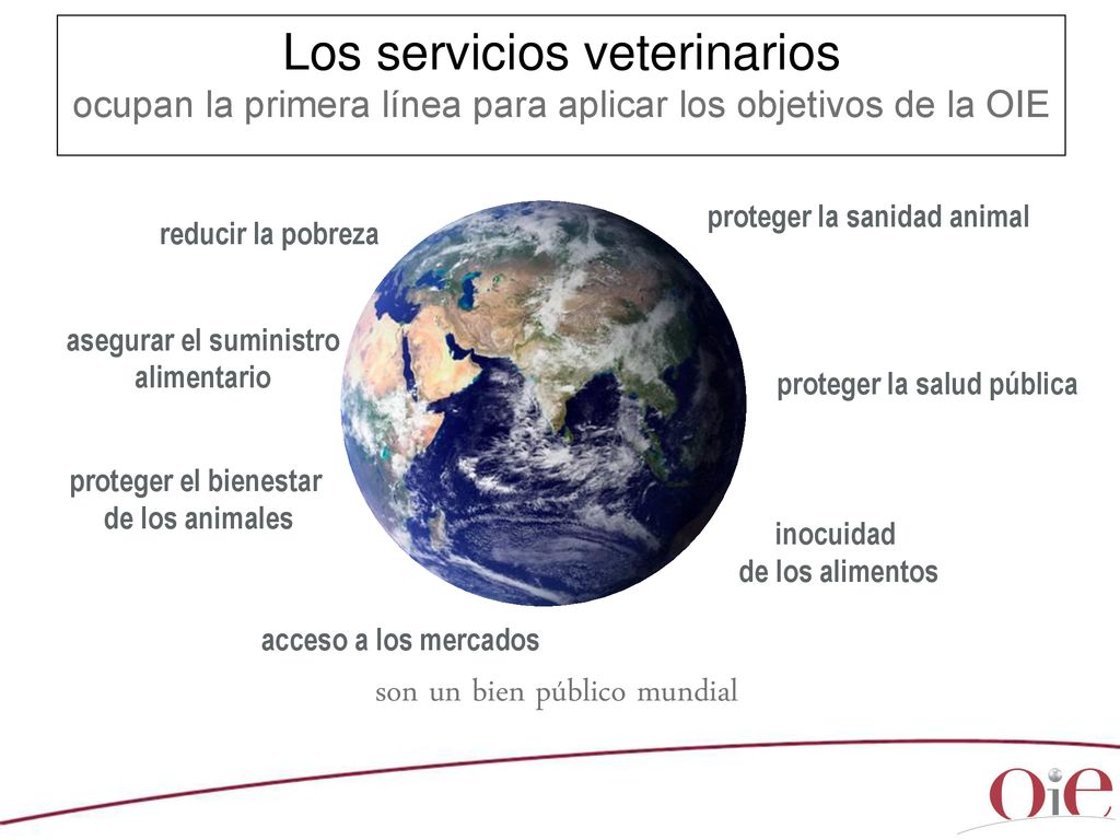 Los servicios veterinarios ocupan la primera línea para aplicar los objetivos de la OIE