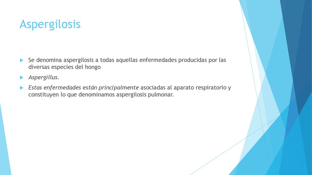 Aspergilosis Se denomina aspergilosis a todas aquellas enfermedades producidas por las diversas especies del hongo.
