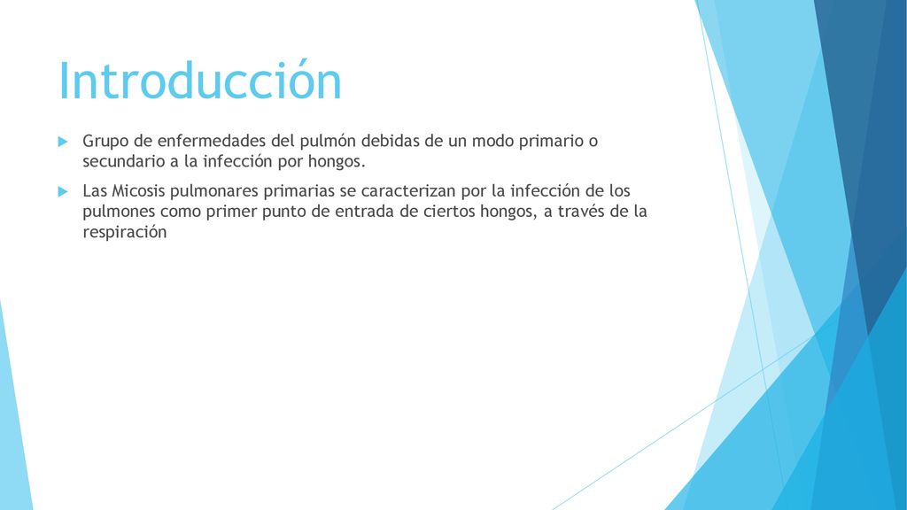 Introducción Grupo de enfermedades del pulmón debidas de un modo primario o secundario a la infección por hongos.