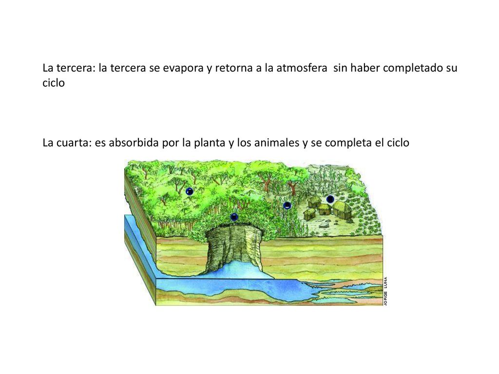 La tercera: la tercera se evapora y retorna a la atmosfera sin haber completado su ciclo