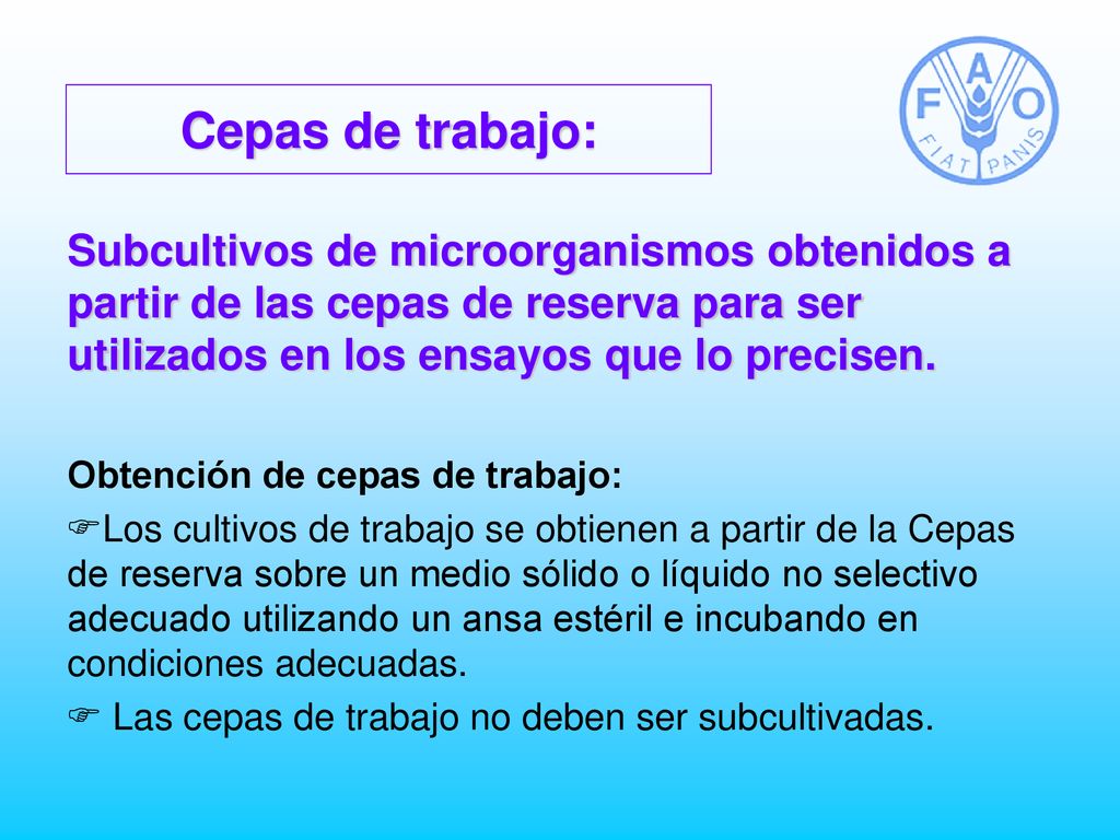 Cepas de trabajo: Subcultivos de microorganismos obtenidos a partir de las cepas de reserva para ser utilizados en los ensayos que lo precisen.