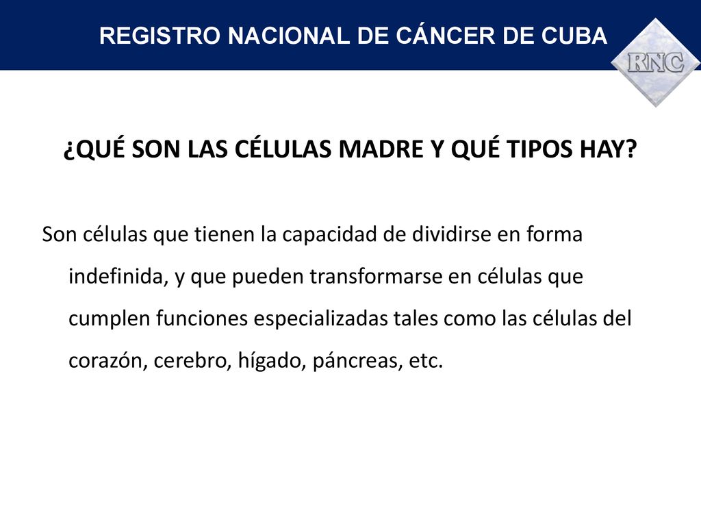 ¿QUÉ SON LAS CÉLULAS MADRE Y QUÉ TIPOS HAY