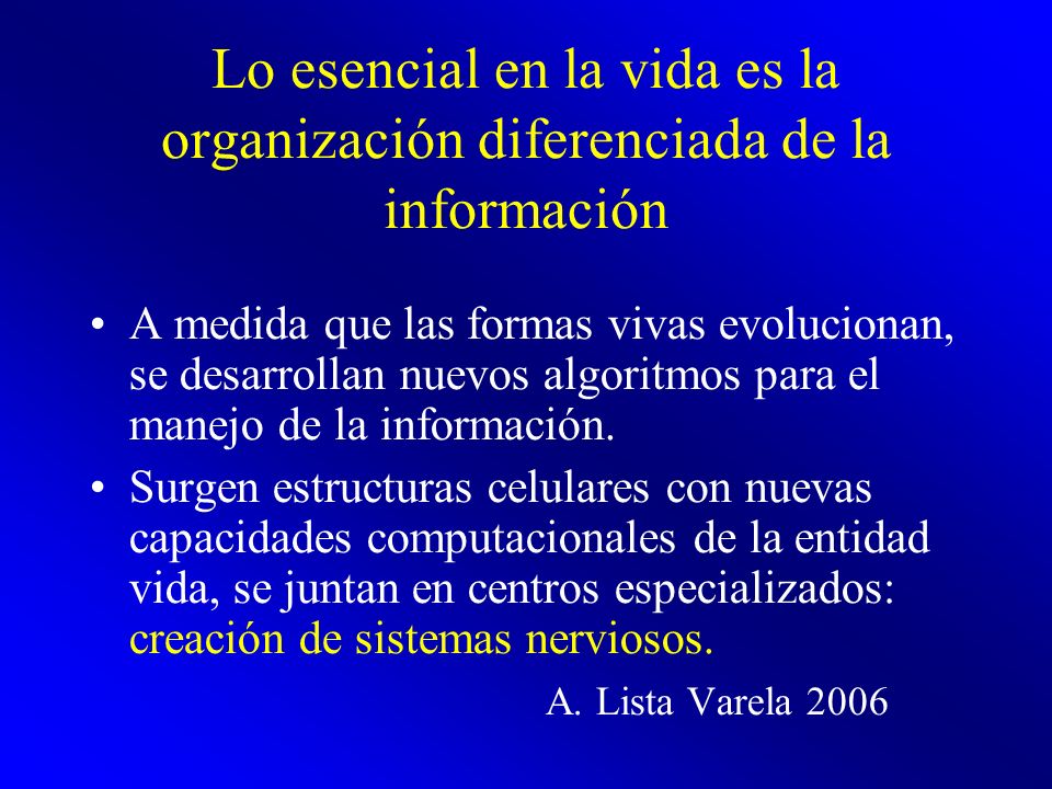 Lo esencial en la vida es la organización diferenciada de la información