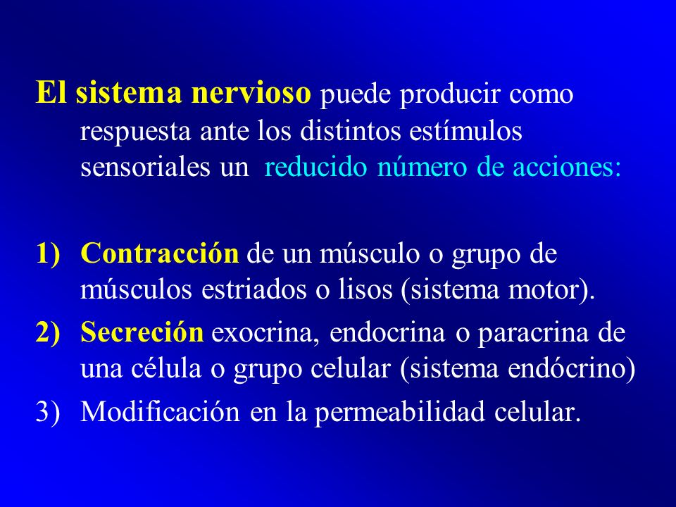 El sistema nervioso puede producir como respuesta ante los distintos estímulos sensoriales un reducido número de acciones: