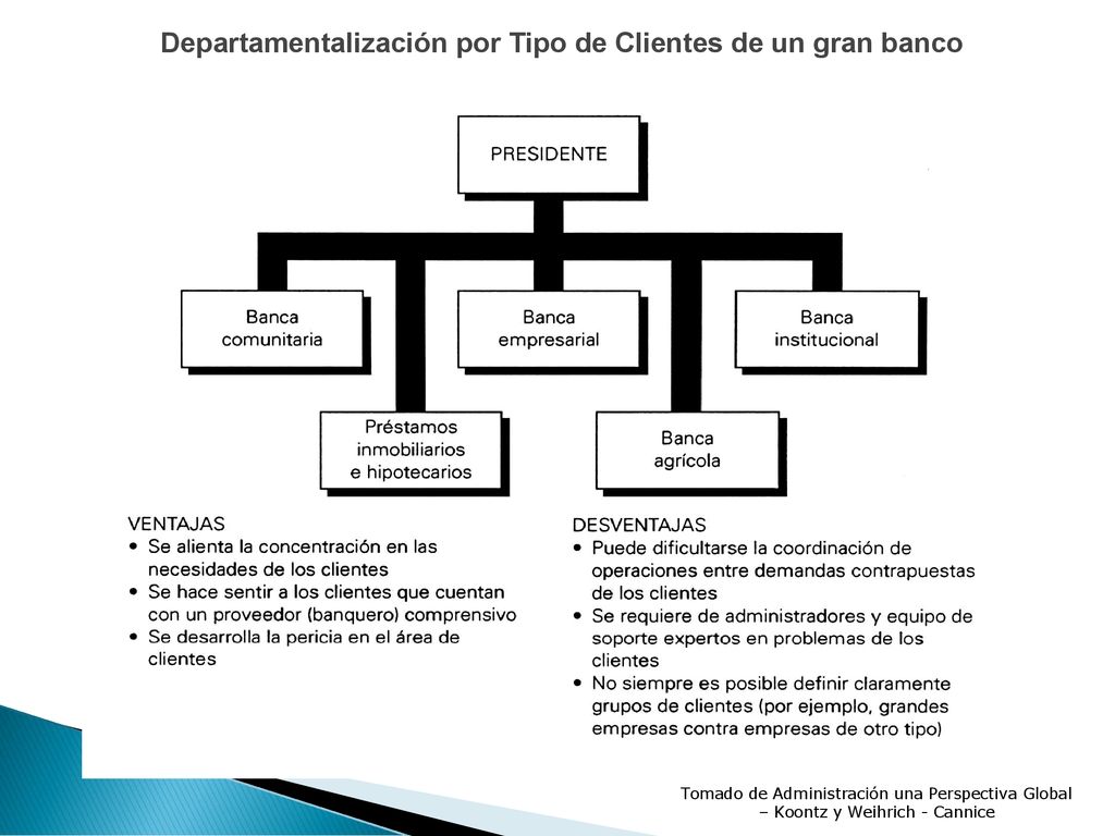Departamentalización por Tipo de Clientes de un gran banco