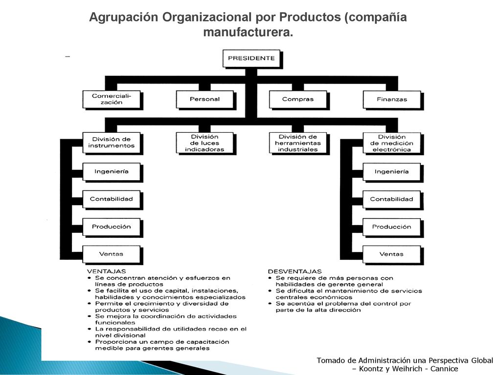 Agrupación Organizacional por Productos (compañía manufacturera.
