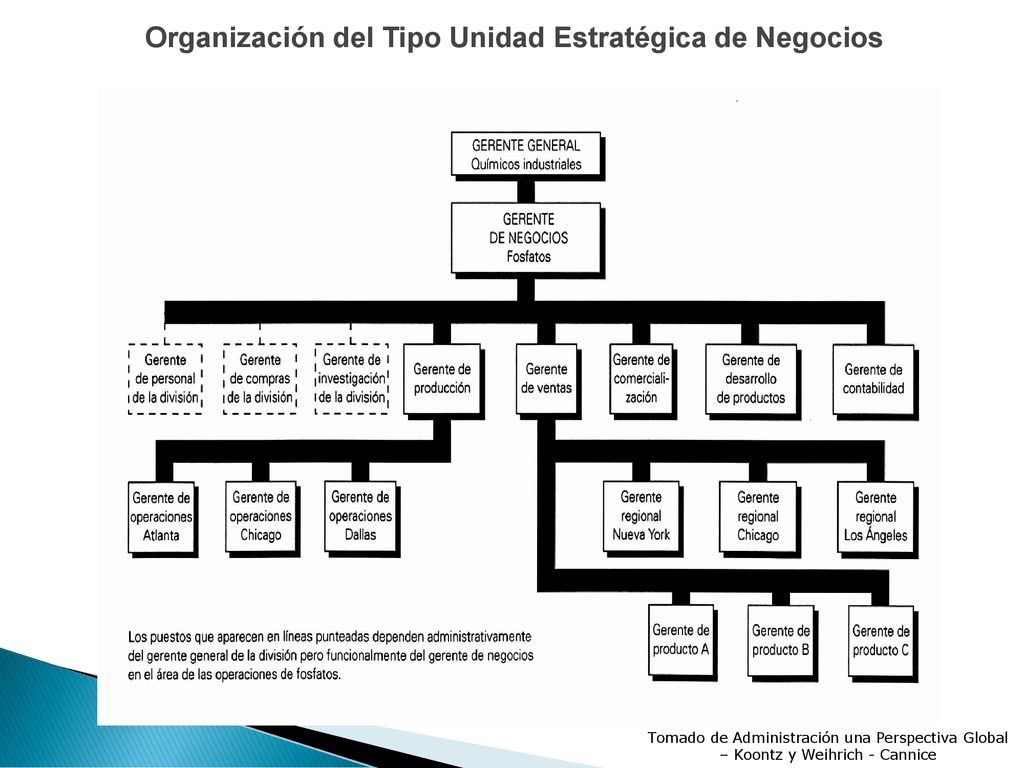 Organización del Tipo Unidad Estratégica de Negocios