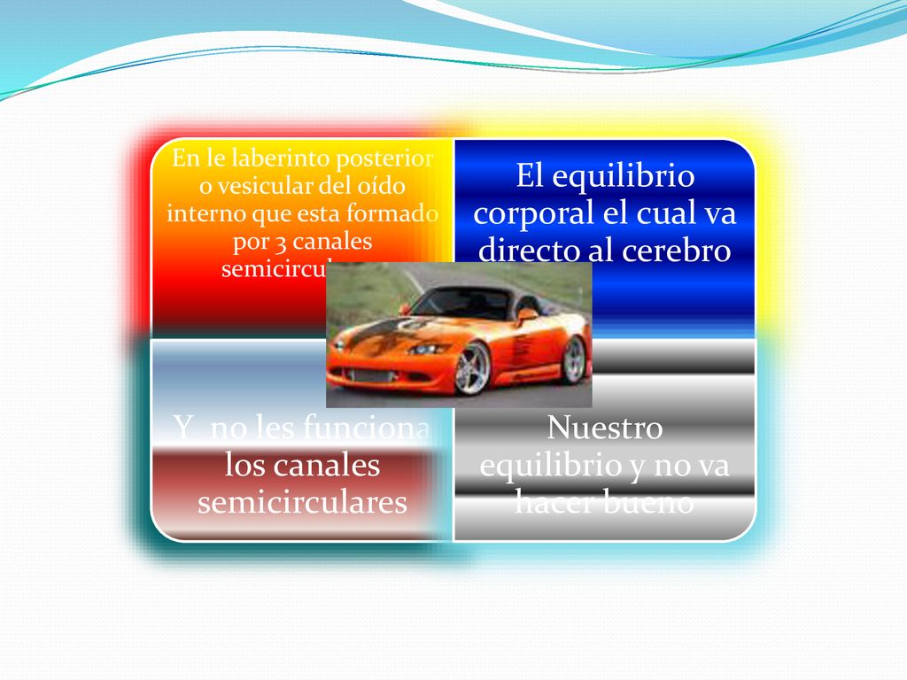 El equilibrio corporal el cual va directo al cerebro