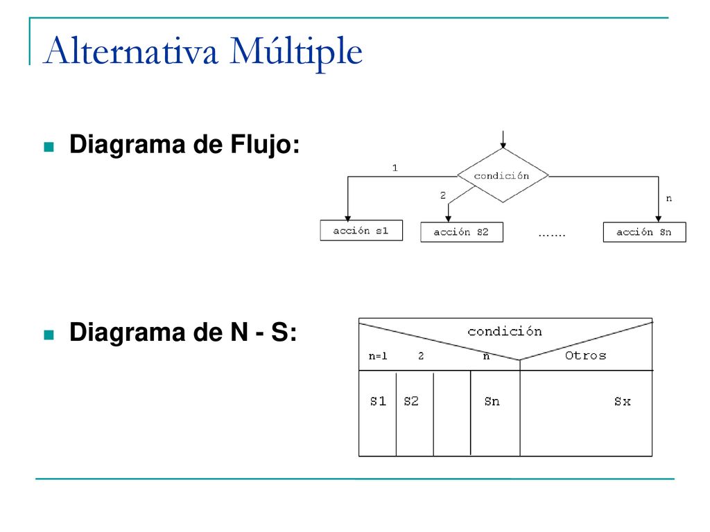 Alternativa Múltiple Diagrama de Flujo: Diagrama de N - S: