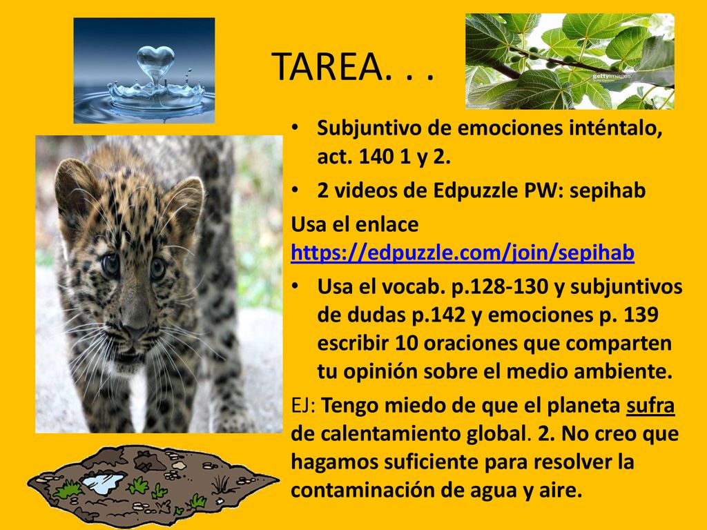 TAREA. . . Subjuntivo de emociones inténtalo, act y 2.