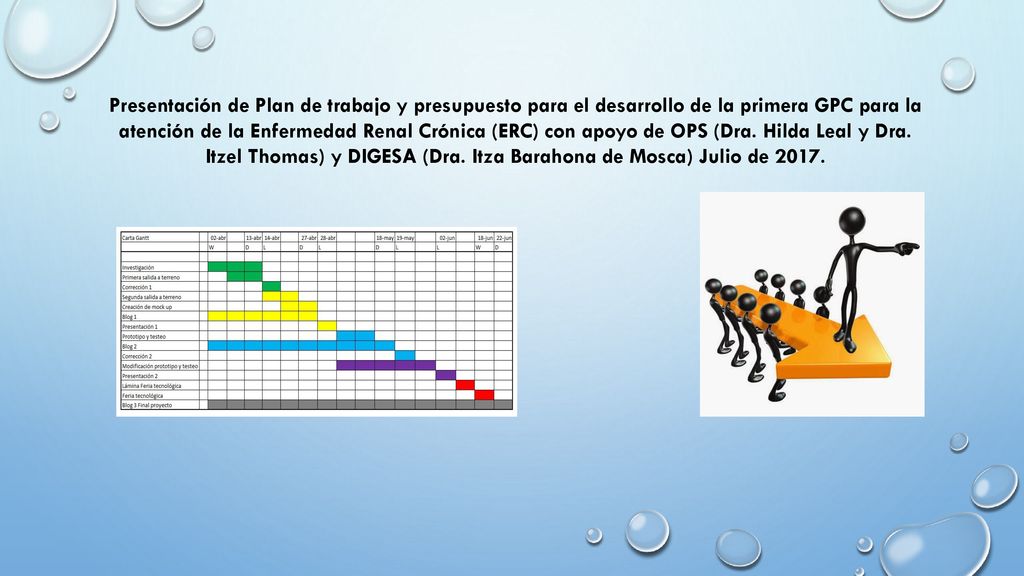 Presentación de Plan de trabajo y presupuesto para el desarrollo de la primera GPC para la atención de la Enfermedad Renal Crónica (ERC) con apoyo de OPS (Dra.