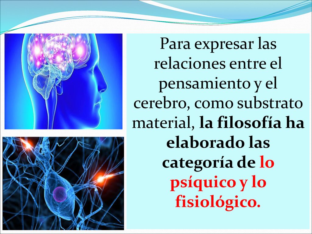 Para expresar las relaciones entre el pensamiento y el cerebro, como substrato material, la filosofía ha elaborado las categoría de lo psíquico y lo fisiológico.