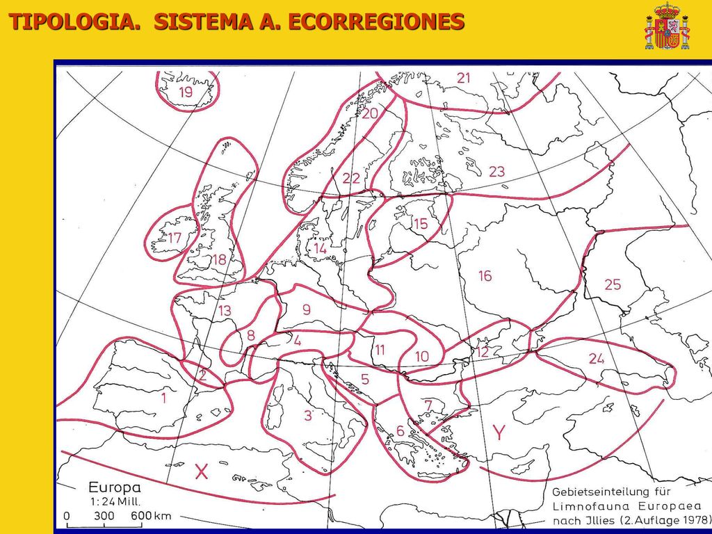 TIPOLOGIA. SISTEMA A. ECORREGIONES