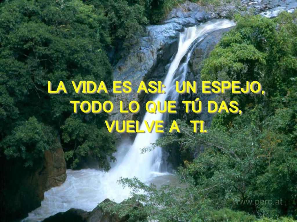 LA VIDA ES ASI: UN ESPEJO, TODO LO QUE TÚ DAS, VUELVE A TI.