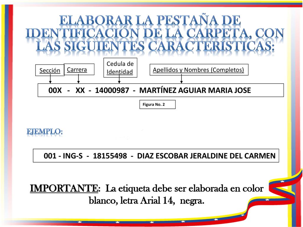 Elaborar la pestaña de identificación de la carpeta, con las siguientes características:
