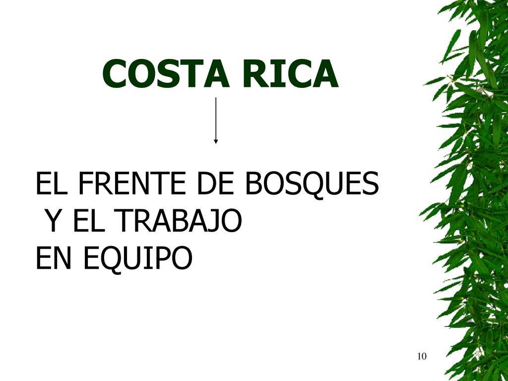 COSTA RICA EL FRENTE DE BOSQUES Y EL TRABAJO EN EQUIPO