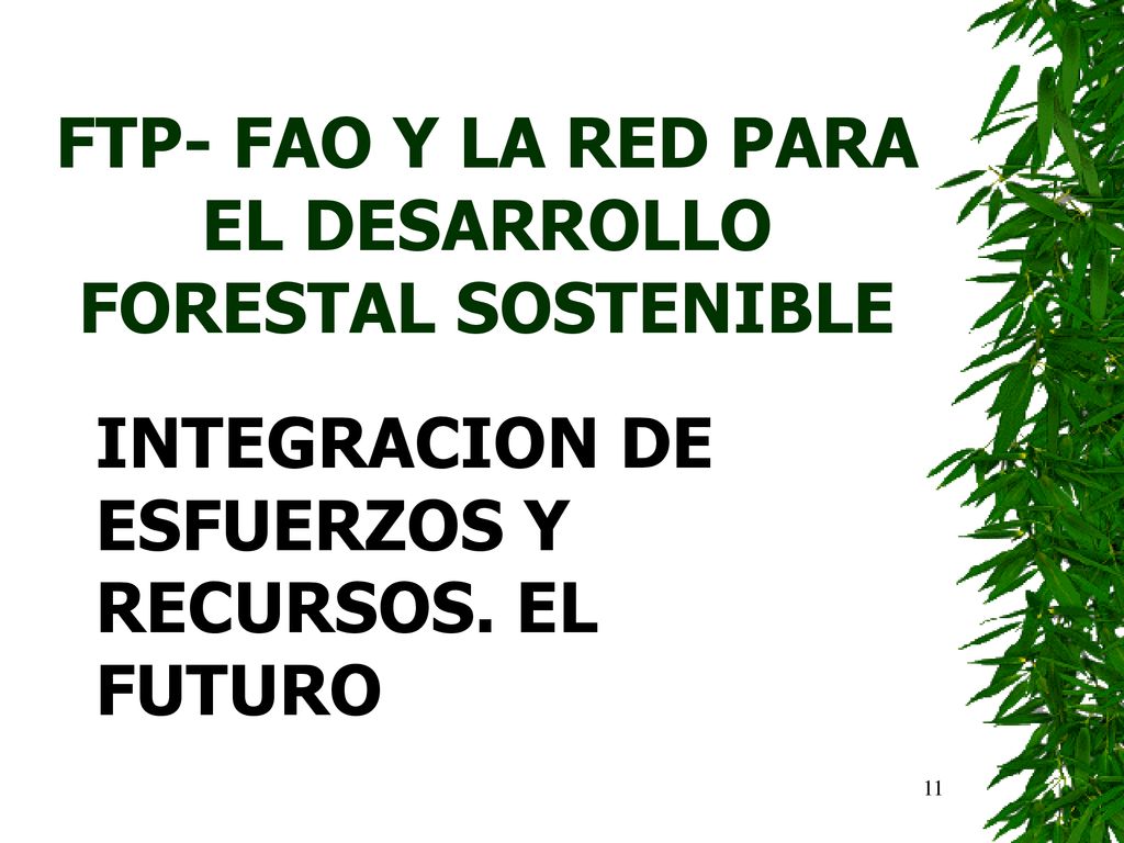 FTP- FAO Y LA RED PARA EL DESARROLLO FORESTAL SOSTENIBLE