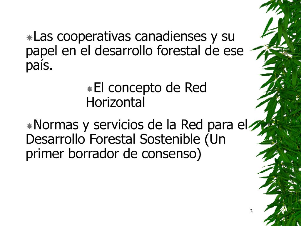 Las cooperativas canadienses y su papel en el desarrollo forestal de ese país.