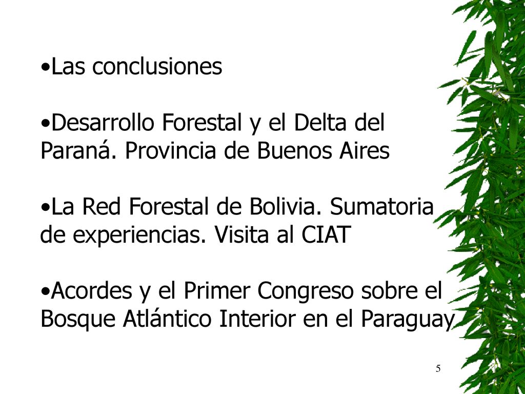 Las conclusiones Desarrollo Forestal y el Delta del Paraná. Provincia de Buenos Aires.