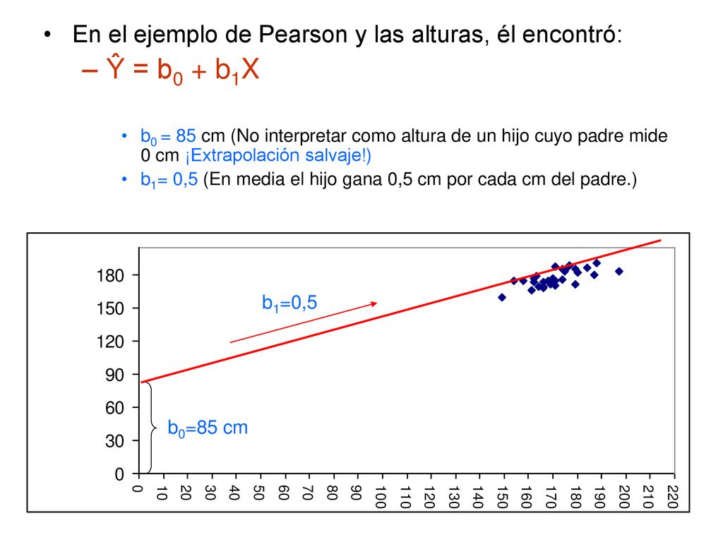 Ŷ = b0 + b1X En el ejemplo de Pearson y las alturas, él encontró: