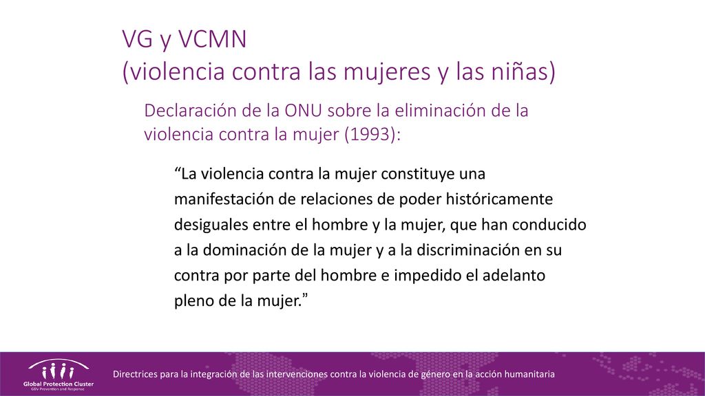 VG y VCMN (violencia contra las mujeres y las niñas)