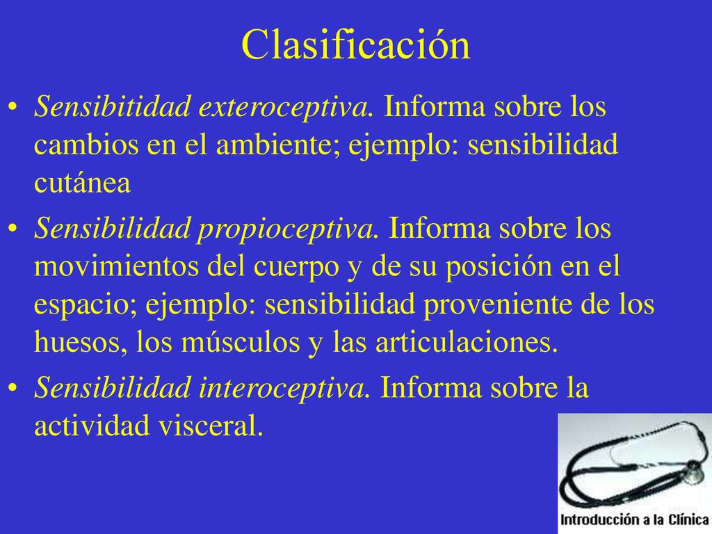 Clasificación Sensibitidad exteroceptiva. Informa sobre los cambios en el ambiente; ejemplo: sensibilidad cutánea.