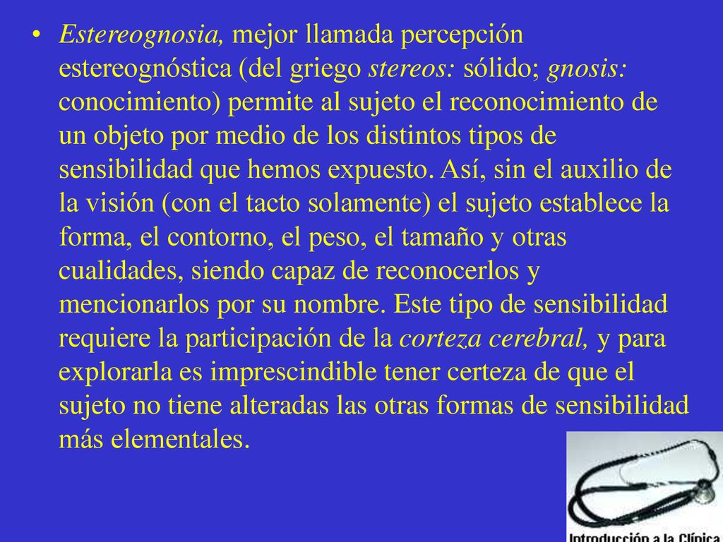 Estereognosia, mejor llamada percepción estereognóstica (del griego stereos: sólido; gnosis: conocimiento) permite al sujeto el reconocimiento de un objeto por medio de los distintos tipos de sensibilidad que hemos expuesto. Así, sin el auxilio de la visión (con el tacto solamente) el sujeto establece la forma, el contorno, el peso, el tamaño y otras cualidades, siendo capaz de reconocerlos y mencionarlos por su nombre. Este tipo de sensibilidad requiere la participación de la corteza cerebral, y para explorarla es imprescindible tener certeza de que el sujeto no tiene alteradas las otras formas de sensibilidad más elementales.