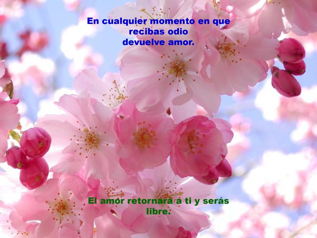 En cualquier momento en que recibas odio devuelve amor.