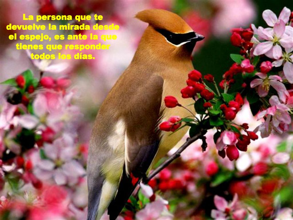 La persona que te devuelve la mirada desde el espejo, es ante la que tienes que responder todos los días.