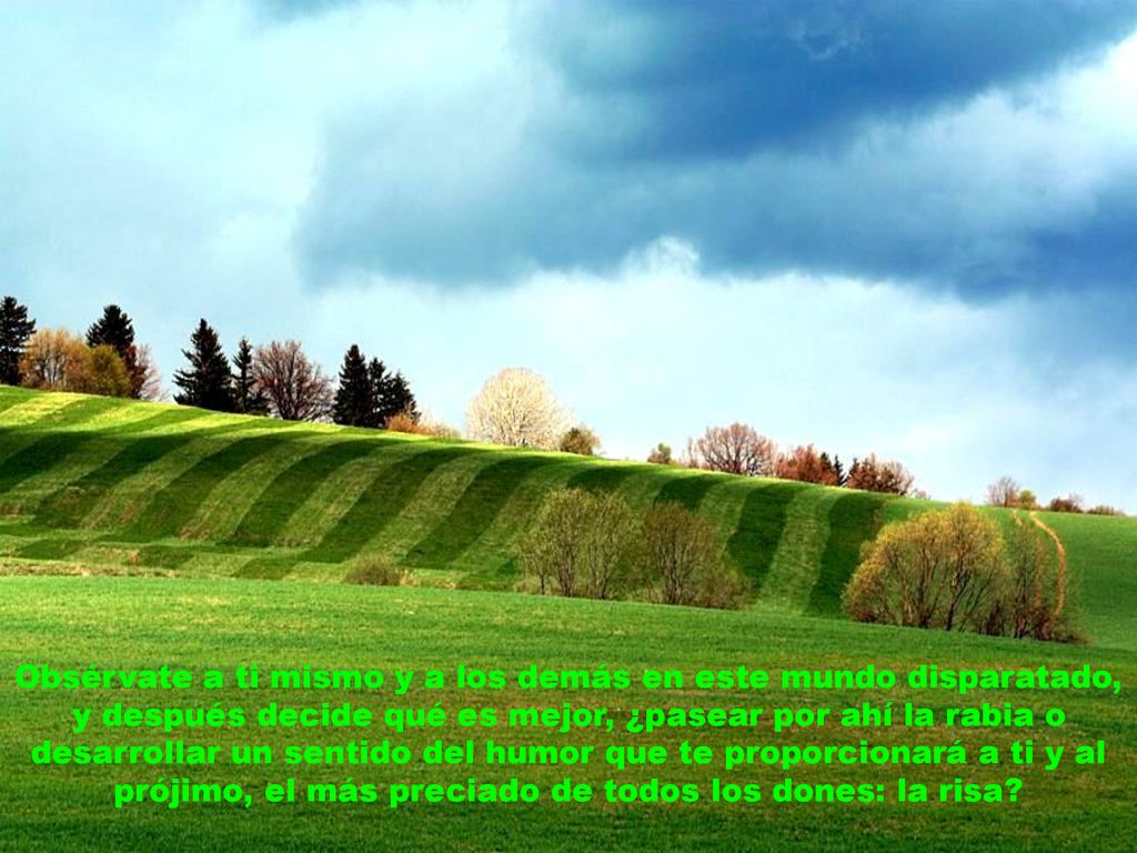 Obsérvate a ti mismo y a los demás en este mundo disparatado, y después decide qué es mejor, ¿pasear por ahí la rabia o desarrollar un sentido del humor que te proporcionará a ti y al prójimo, el más preciado de todos los dones: la risa