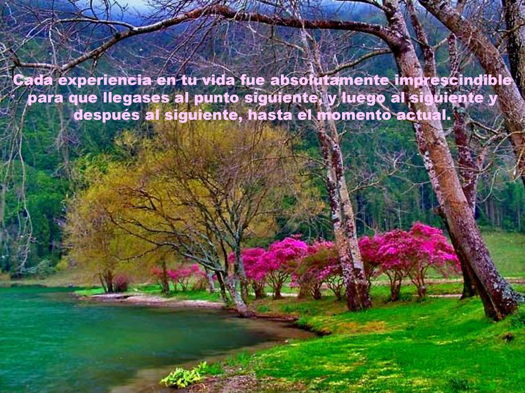 Cada experiencia en tu vida fue absolutamente imprescindible para que llegases al punto siguiente, y luego al siguiente y después al siguiente, hasta el momento actual.