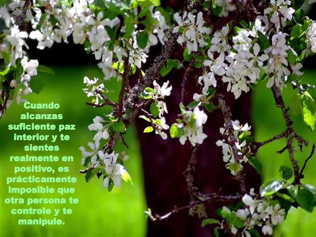 Cuando alcanzas suficiente paz interior y te sientes realmente en positivo, es prácticamente imposible que otra persona te controle y te manipule.