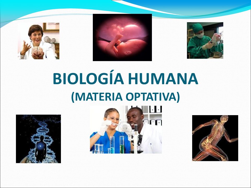 BIOLOGÍA HUMANA (MATERIA OPTATIVA)