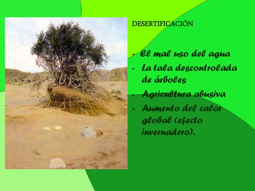 DESERTIFICACIÓN - El mal uso del agua. La tala descontrolada de árboles.