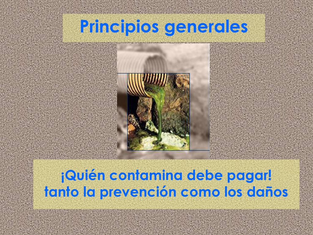 ¡Quién contamina debe pagar! tanto la prevención como los daños
