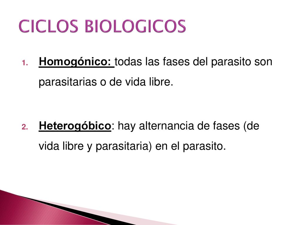 CICLOS BIOLOGICOS Homogónico: todas las fases del parasito son parasitarias o de vida libre.