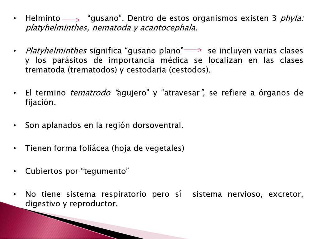 Helminto gusano . Dentro de estos organismos existen 3 phyla: platyhelminthes, nematoda y acantocephala.
