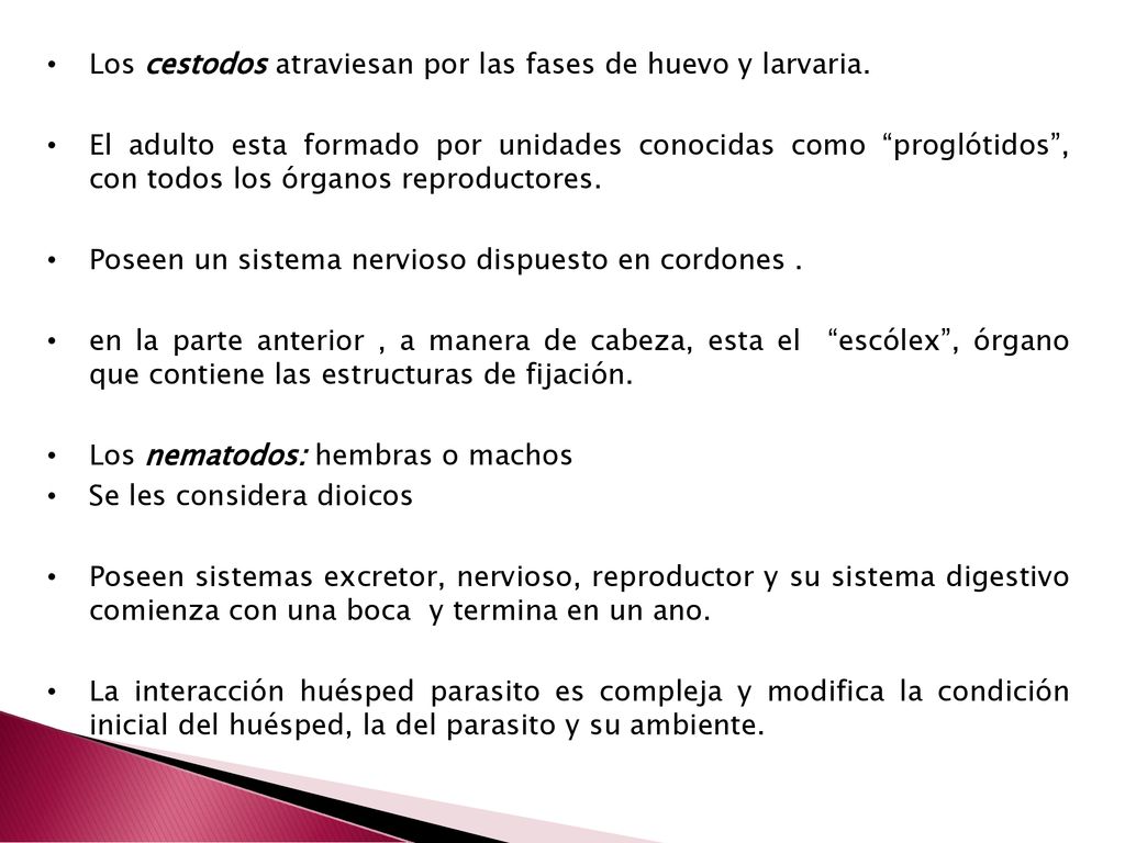 Los cestodos atraviesan por las fases de huevo y larvaria.